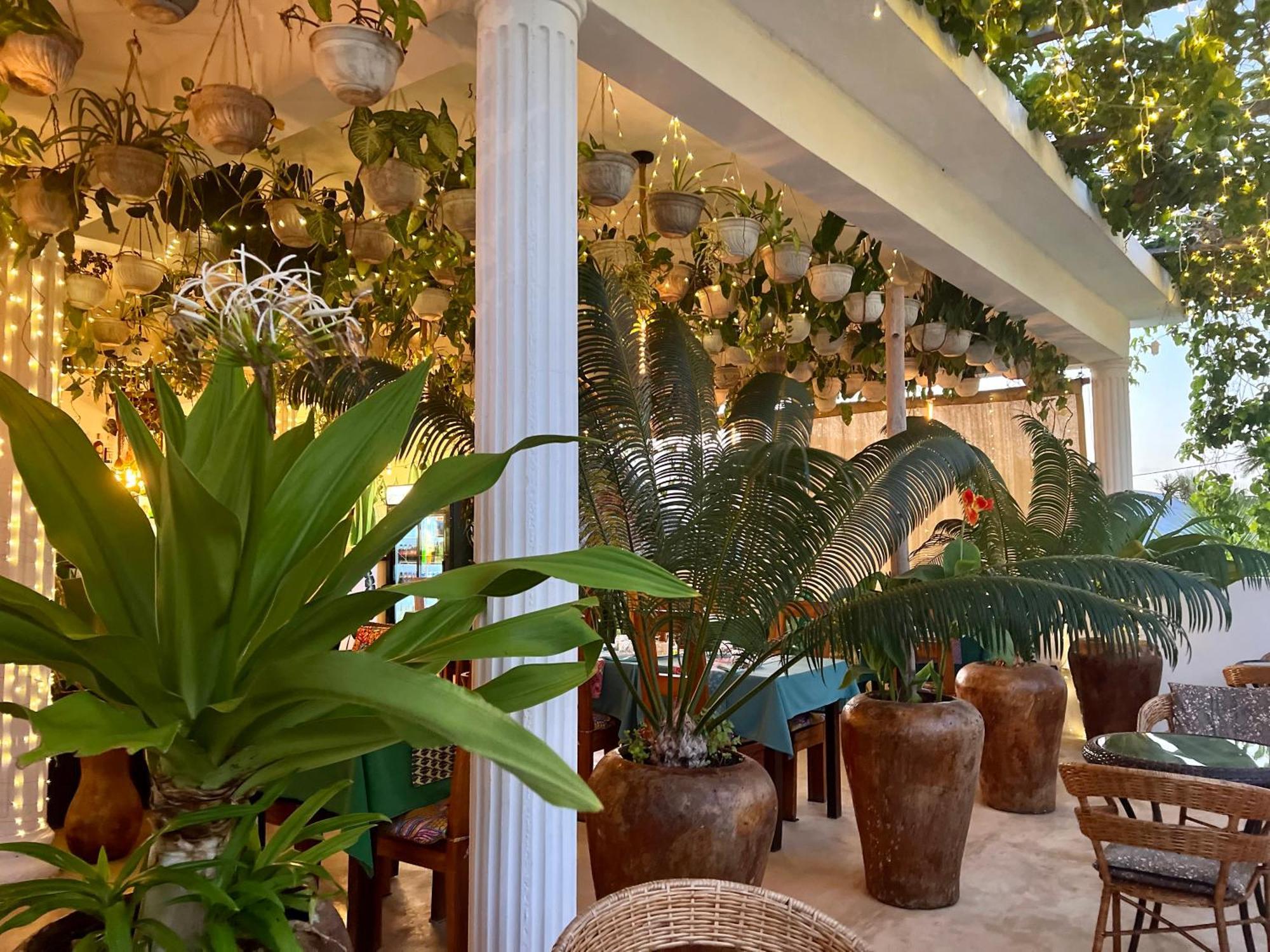 Residence Gadea&Gadea Garden Italian Restaurant Jambiani  Bagian luar foto